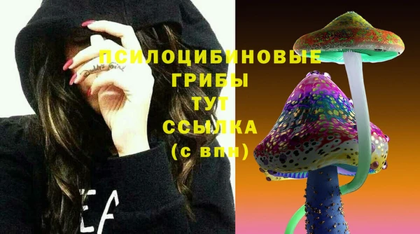 синтетический гашиш Бронницы