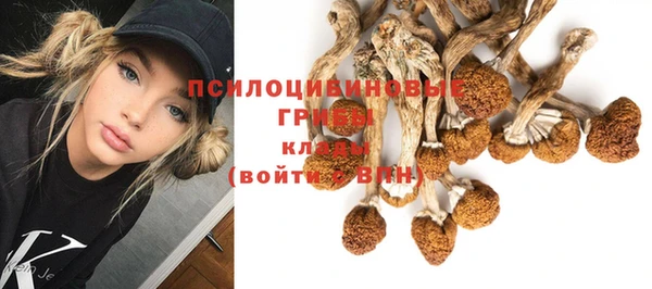 каннабис Бородино
