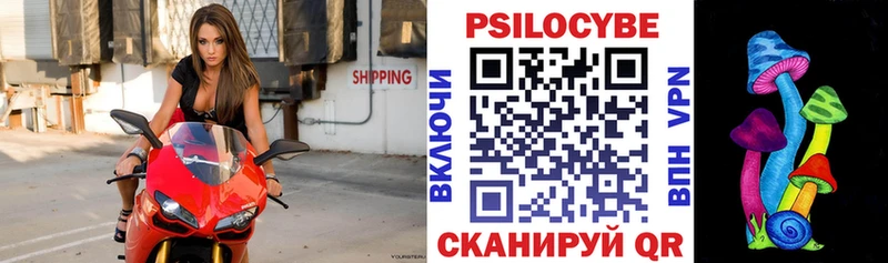 Купить где  Приморско-Ахтарск  Псилоцибиновые грибы Psilocybe 