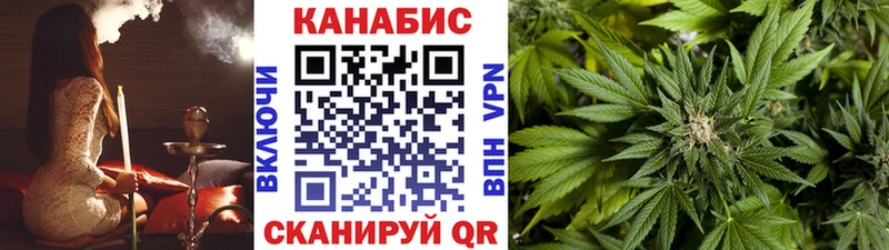 Купить закладки  Приморско-Ахтарск  Канабис сатива 